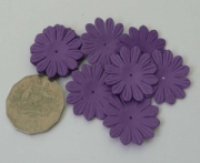 AS4E - 32mm Hot Purple Daisy 